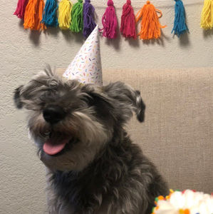 Meet your Posher, Daniela